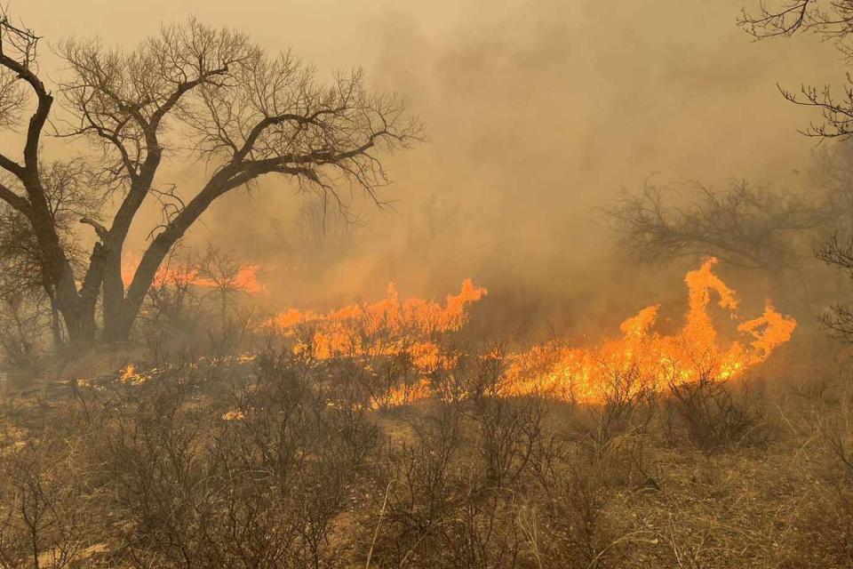 <p>Greenville Firefighter Association/ Handout /Anadolu via Getty </p> A fast-moving wildfire burning through the Texas Panhandle region in Texas, United States on February 29, 2024. The US state of Texas issued a disaster declaration as massive wildfires continued to burn out of control, forcing thousands of residents to evacuate their homes.