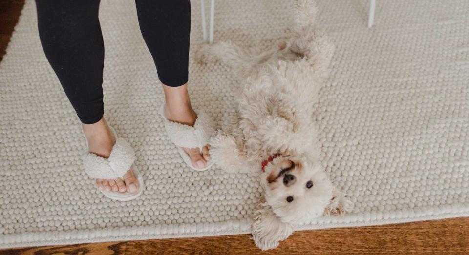 These perfect slippers for spring are back in stock. (Getty Images) 