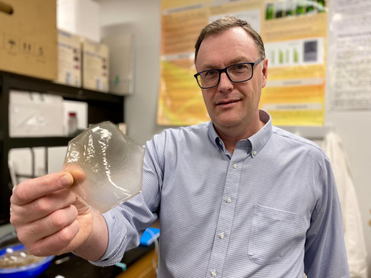 Michael Nickerson, Saskatchewan Agriculture and Food Research Chair in Protein Quality and Utilization, is heading the research team that is creating the biodegradable film. (Travis Reddaway/CBC News - image credit)