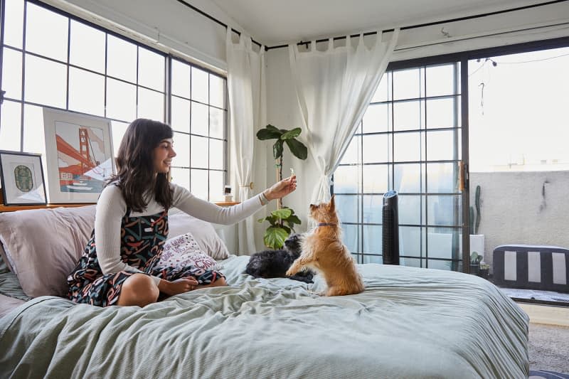 Dweller playing with dog on bed.