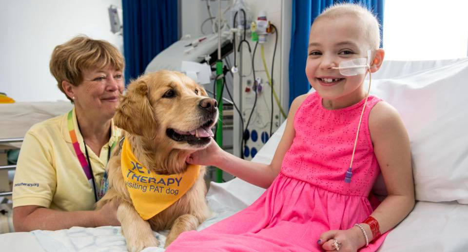 One of the therapy dogs visits a young patient and puts a smile on her face.