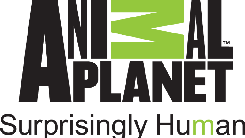 Animal Planet logo