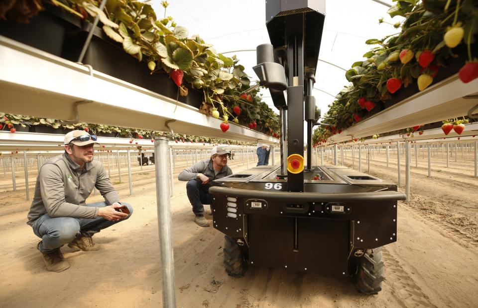 Tortuga AgTech co-founders Tim Brackbill and Eric Adamson squat next to a robot.