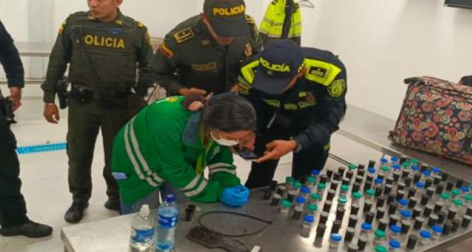 A 37-year-old woman who allegedly attempted to smuggle 137 poisonous frogs worth more than $130,000 into Brazil was taken into custody at an airport in Bogota, Columbia in late January 2024. The woman was boarding a flight to Sao Paulo when she was stopped by uniformed police officers assigned to the airport, National Police of The Republic of Colombia said.