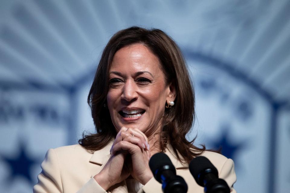 Harris has been called a barrage of offensive names in the mere days since launching her White House bid (AFP via Getty Images)