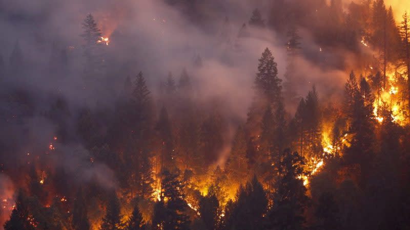 Forest burns in the Carr Fire on July 30, 2018 west of Redding, California. (Getty Images)