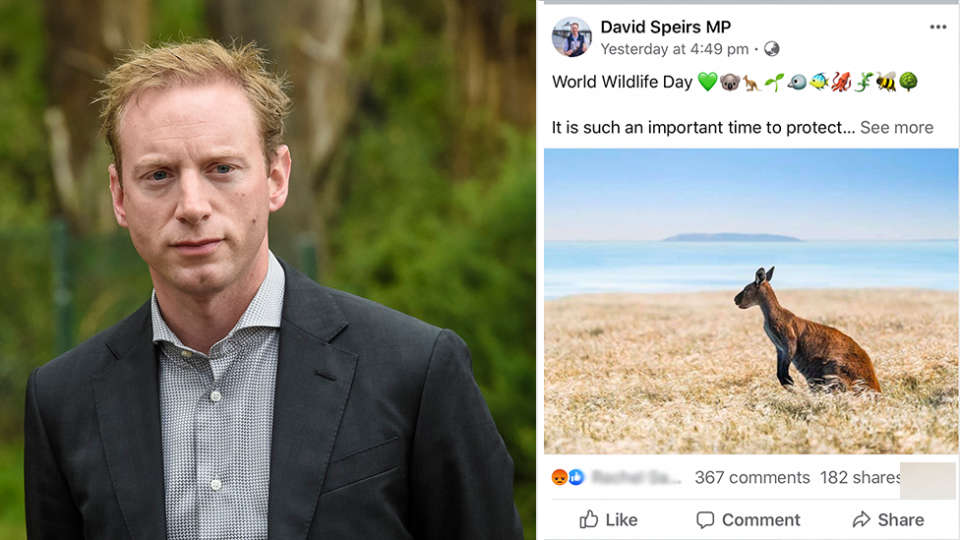 Environment Minister David Speirs (left) was criticised for approving the slaughter of 200 wombats and posting about World Wildlife Day. Source: AAP / Supplied