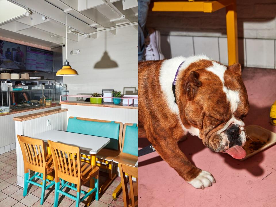 The colorful interior at Saucy Chick Rotisserie/the Goat Mafia