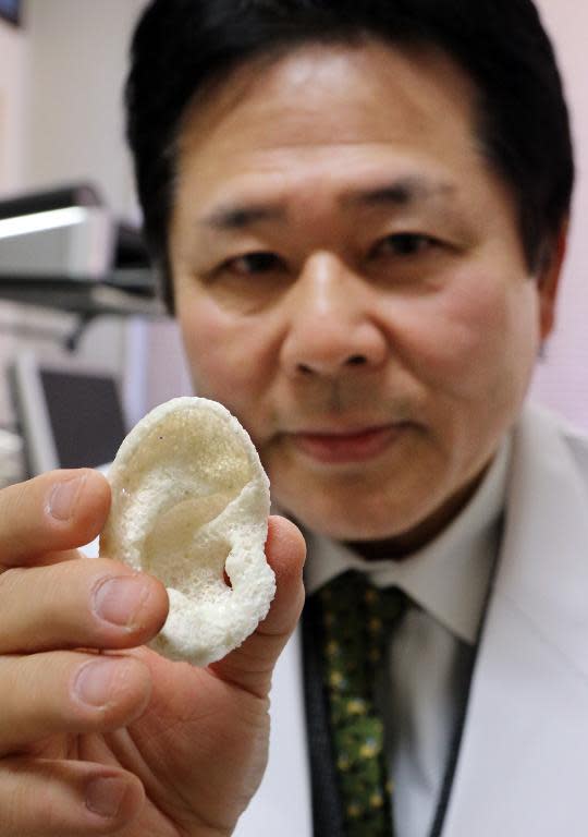 Tsuyoshi Takato, a professor at the University of Tokyo Hospital, displays an artificial ear made of polyactic acid and designed by a 3D printer at his laboratory in Tokyo on January 16, 2015