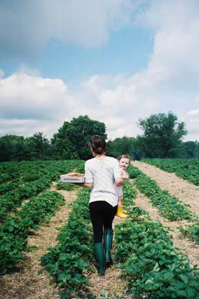 Go Strawberry Picking