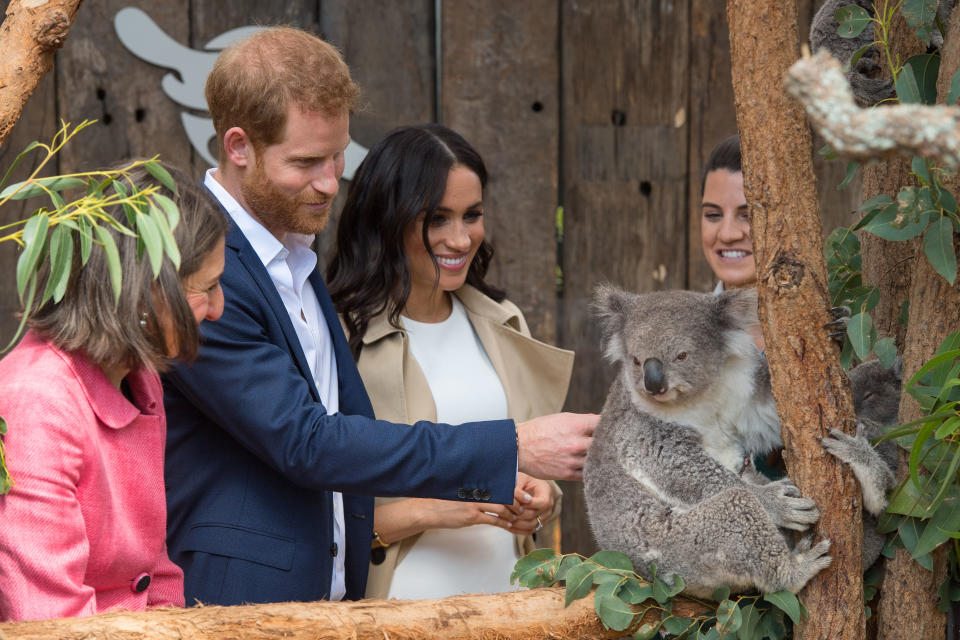 Prince Harry, Duke of Sussex and Meghan, Duchess of Sussex meet a Koala called Ruby during a visit to Taronga Zoo on October 16, 2018 in Sydney, Australia.