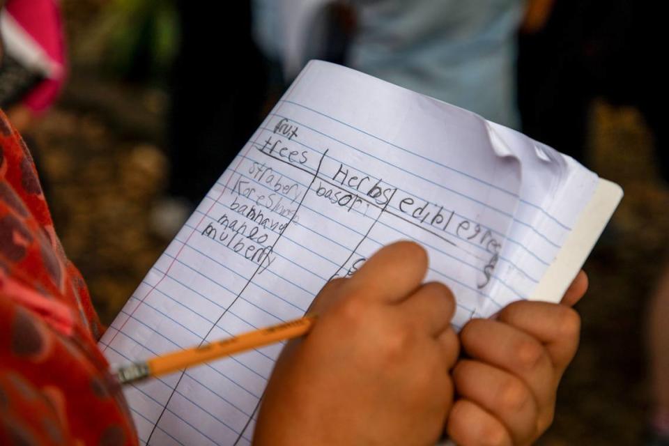 Alumnos clasifican lo que ven en el jardín en tres categorías: árboles, hierbas y verduras comestibles.