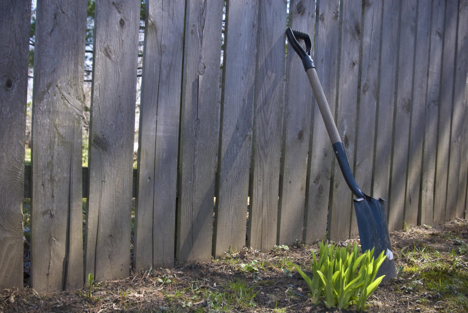 shovel standing up next to fence in yard