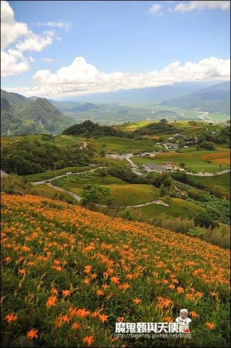 《2014花東金針花季》花蓮富里六十石山、台灣小瑞士觀景台、玉里赤科山金針花海、汪家古厝曬金針、金針花合菜、會走路的郵局(2014/08/28花況)