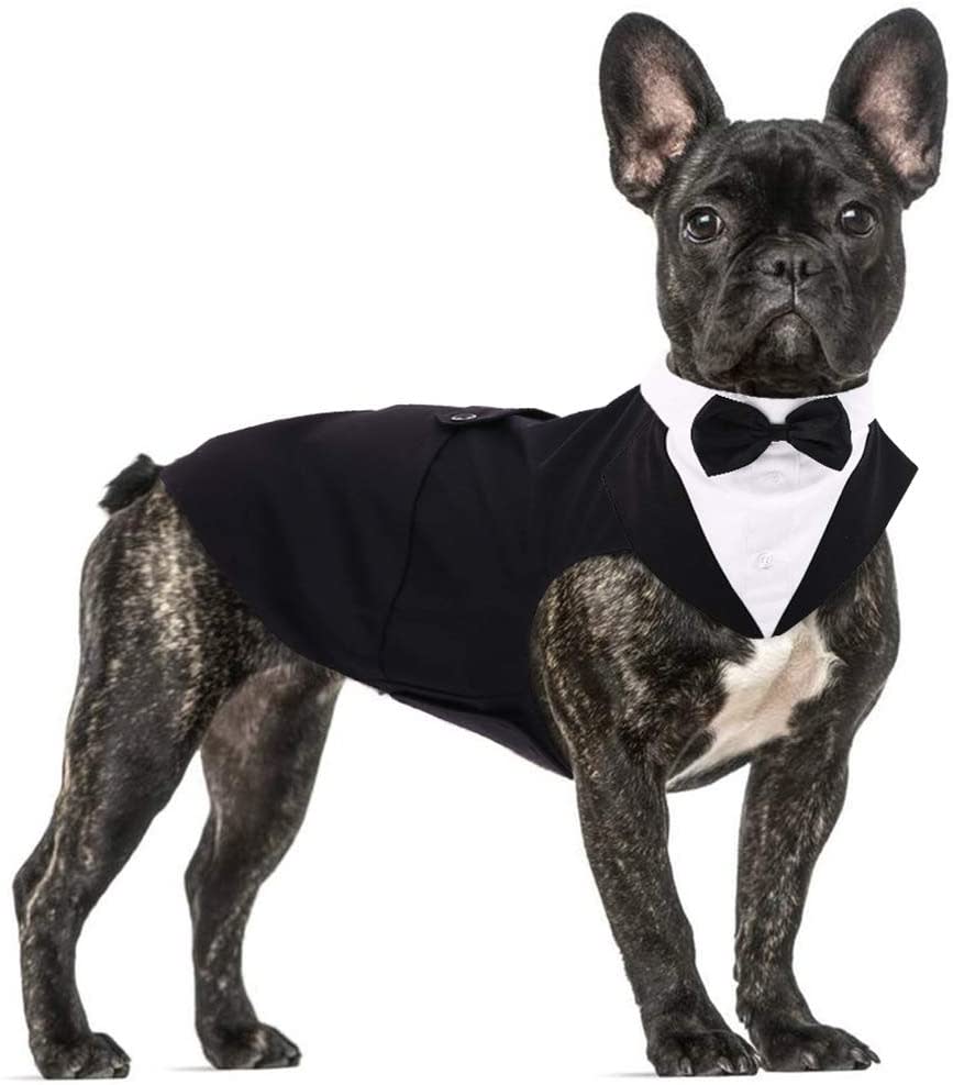 dog Halloween costumes dog formal tuxedo suit