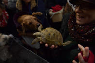 <p>A woman holds up a turtle to be blessed with other pets outside of the Saint Pablo church, during the feast of St. Anthony, Spain’s patron saint of animals, in Zaragoza, northern Spain, Wednesday, Jan.17, 2018. (Photo: Alvaro Barrientos/AP) </p>