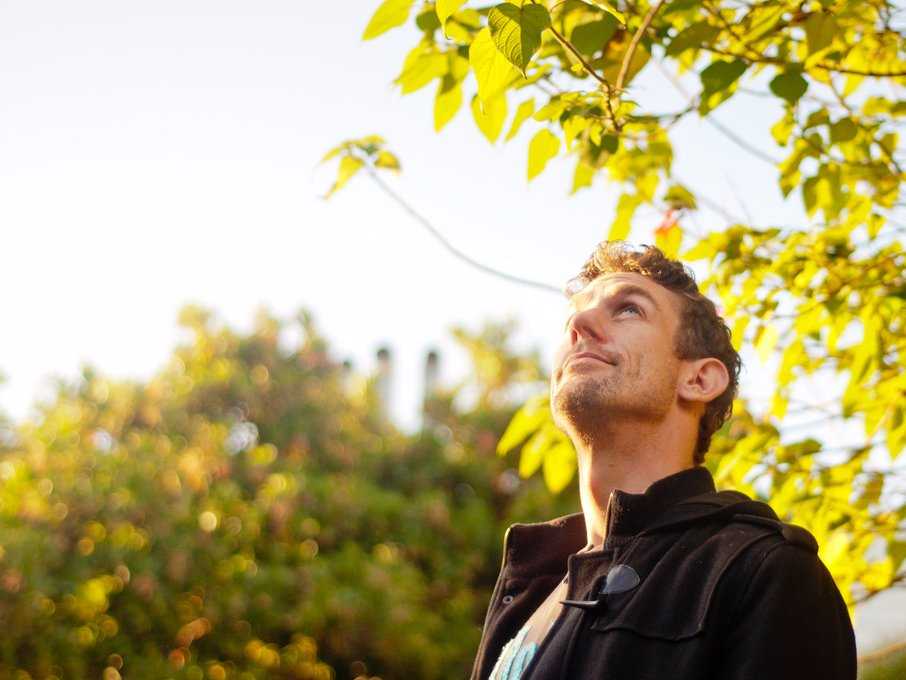 man looking up trees