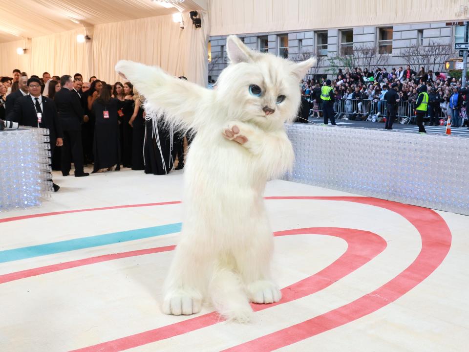 Jared Leto arrives at the 2023 Met Gala dressed as a cat.