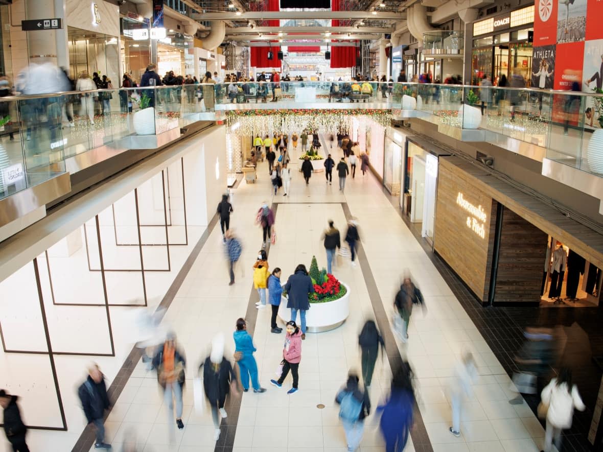 Workers in Toronto need to earn the highest living wage in the province, $23.15 per hour, to make ends meet in the city, a group found. Here, mall patrons shop for Black Friday deals, in Toronto, on Nov. 25, 2022. (Evan Mitsui/CBC - image credit)