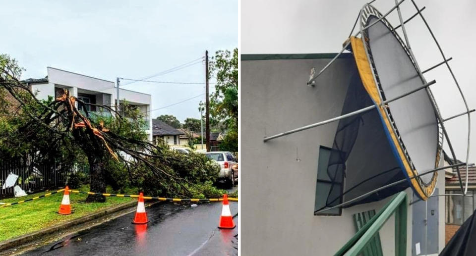 Fallen trees and a trampoline lodged in a house in Chester Hill are pictured.