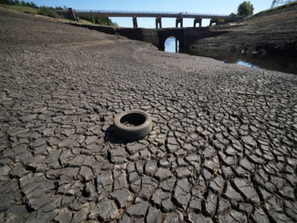 Drought in Yorkshire this year (Getty Images)