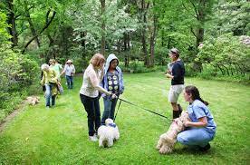 Dogs and families celebrate "Dogwood Days" at Milton's Wakefield Estate in 2014.