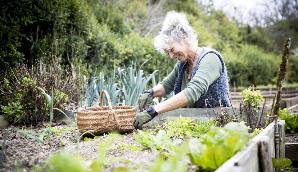 Plant some flowers this Mother's Day, then watch them bloom in all the years to follow. (Jag Images / Getty Images)