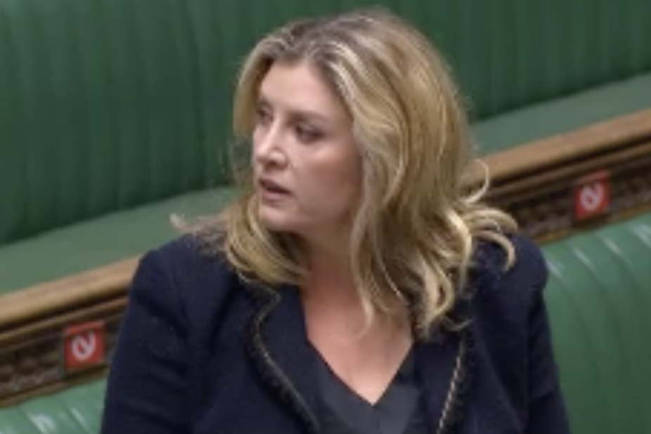 Penny Mordaunt said the crossings are an 'appalling and dangerous trade in human beings'. (Parliamentlive.tv)