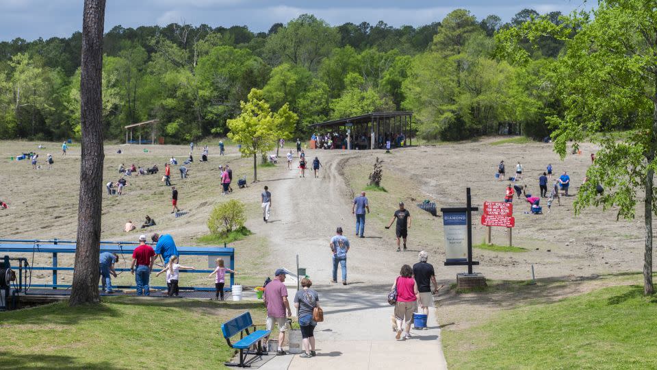 Visitors scour the earth at Crater of Diamonds State Park in Arkansas. - Courtesy Arkansas State Parks