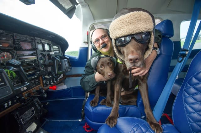 Pooch pilot employs puppy co-pilot