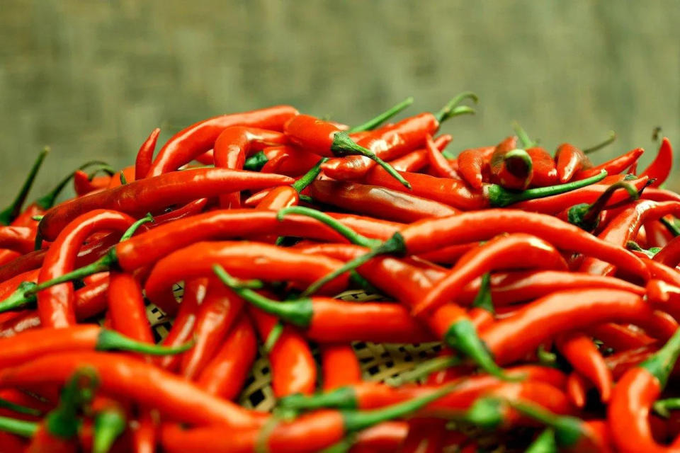 <strong>國產辣椒不太會被拿去做大量加工製作的辣椒粉使用。（示意圖／pixabay）</strong>