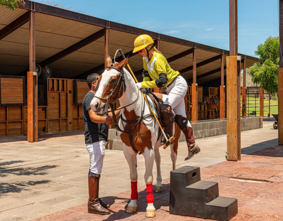 Lo último en México: casas de lujo con caballos