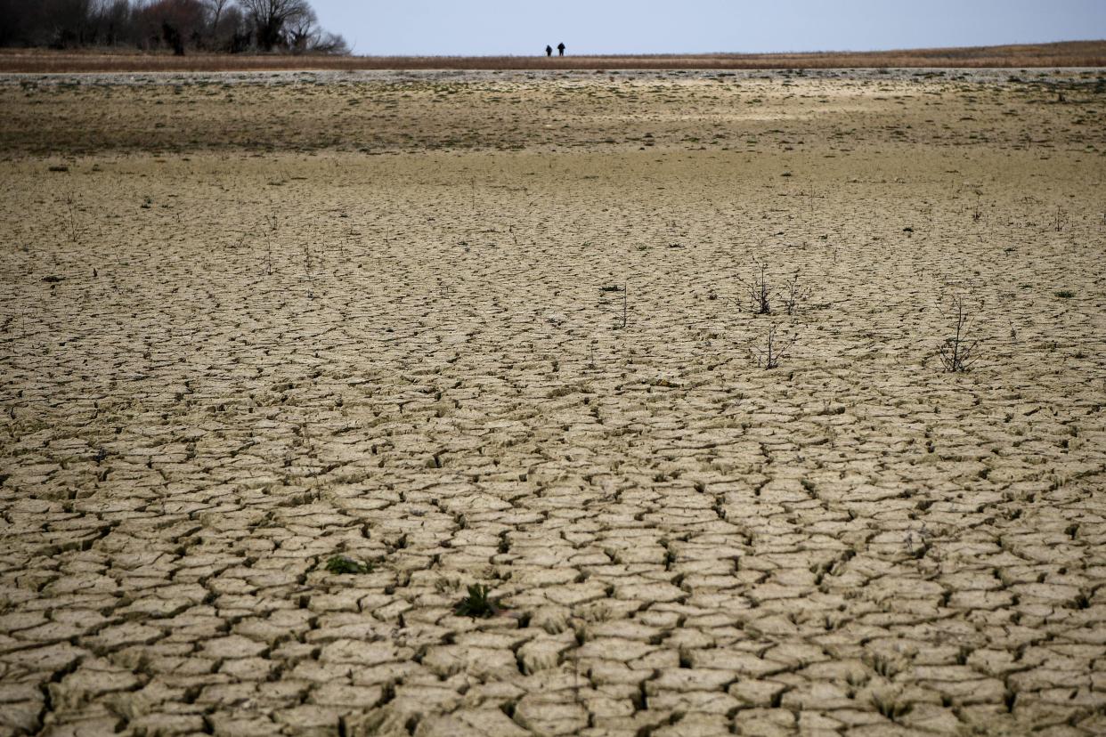 Le ministre de la Transition écologique, Christophe Béchu va présenter ce jeudi 30 mars le plan Eau du gouvernement. (Cette photographie montre une partie du lac asséché de Montbel, dans le sud-ouest de la France, le 21 février 2023)