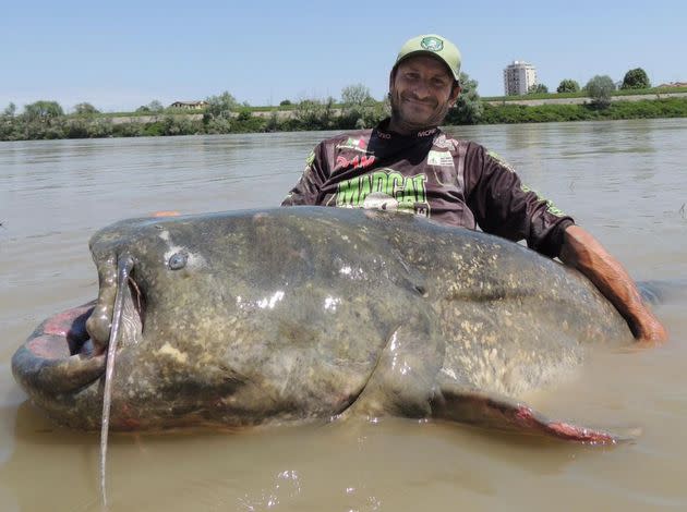Alessandro Biancardi with a large catfish that he caught on the river Po in Italy.