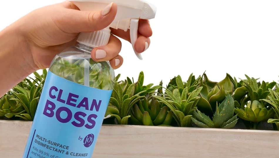 CleanBoss cleaning products use botanical disinfectants derived from thyme. (Photo: HSN)