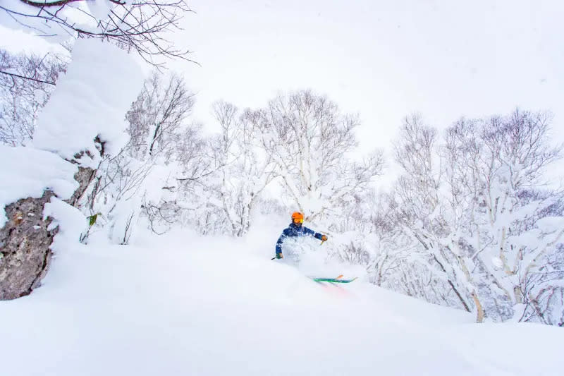 ▲二世古是粉雪天堂。（圖／Niseko Tourism臉書）