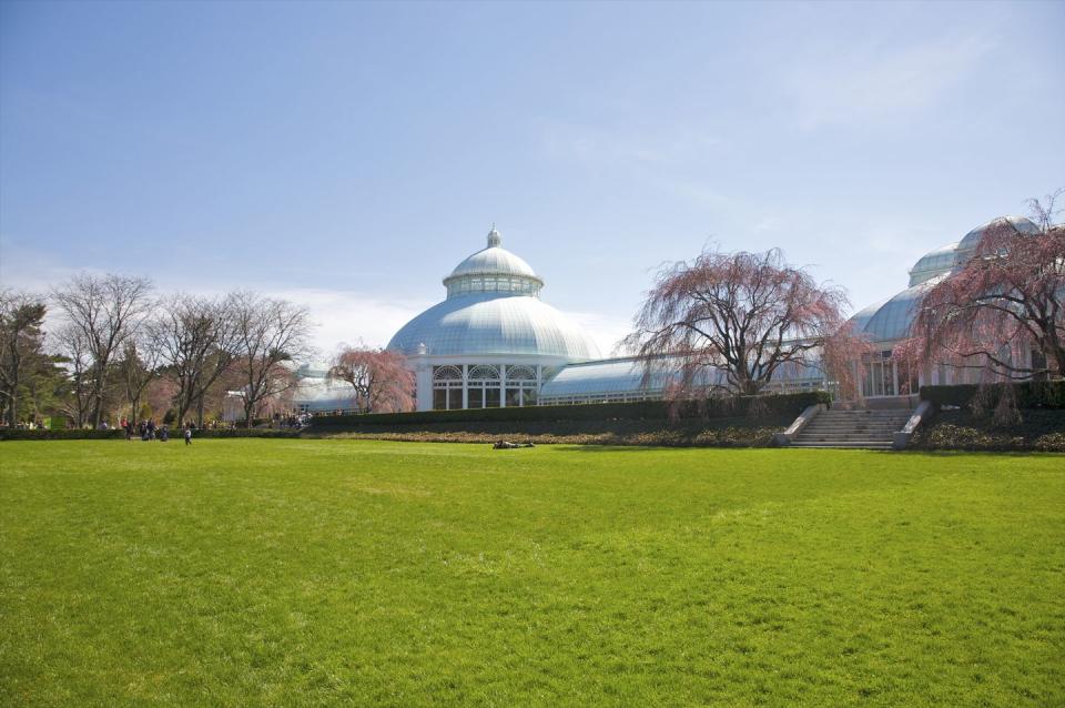 15) Kusama: Cosmic Nature and Infinity Mirror Room—Illusion Inside the Heart at New York Botanical Gardens