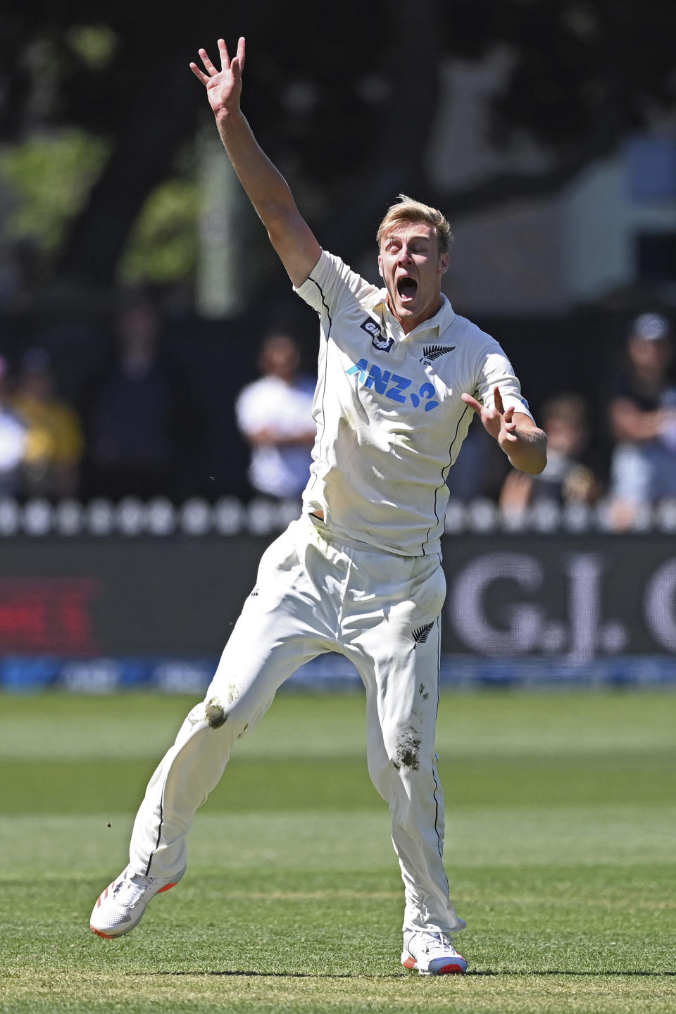 New Zealand's Kyle Jamieson appeals for LBW against the West Indies during play on the second day of their second cricket test at Basin Reserve in Wellington, New Zealand, Saturday, Dec. 12, 2020. (Andrew Cornaga/Photosport via AP)