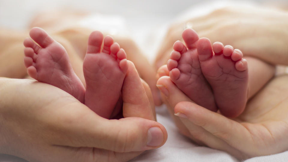 Portrait showing parents' hands and babies' feet.