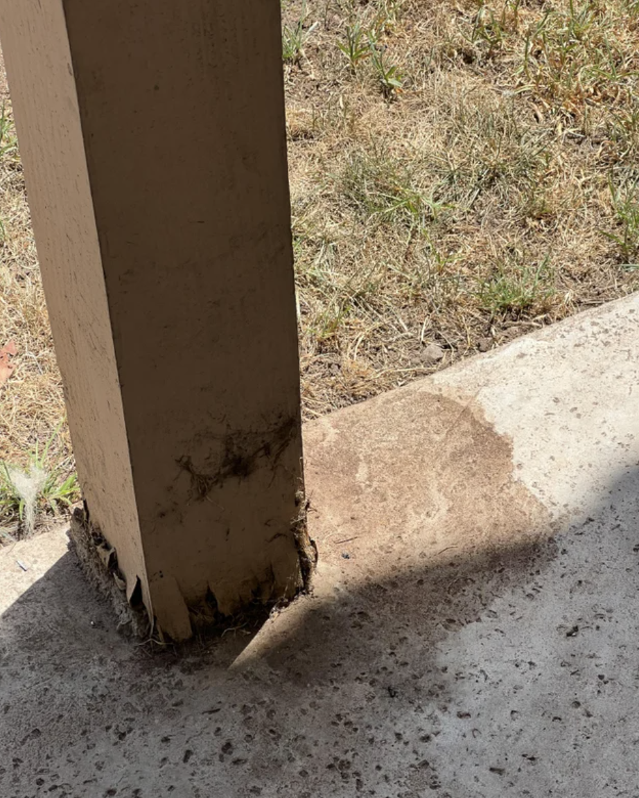 Pee and pop stains on someone's pillar