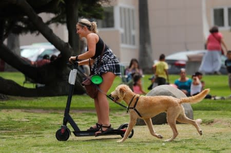 A scooter rider takes her dog through a beach park in San Diego , California