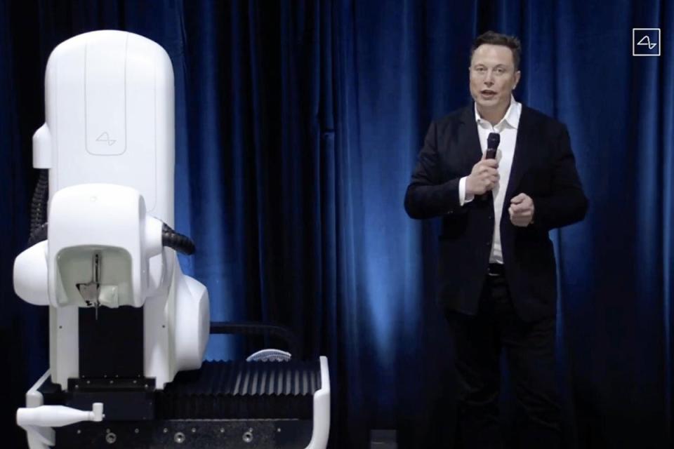Elon Musk on a Neuralink livestream (Neuralink/AFP via Getty Images)