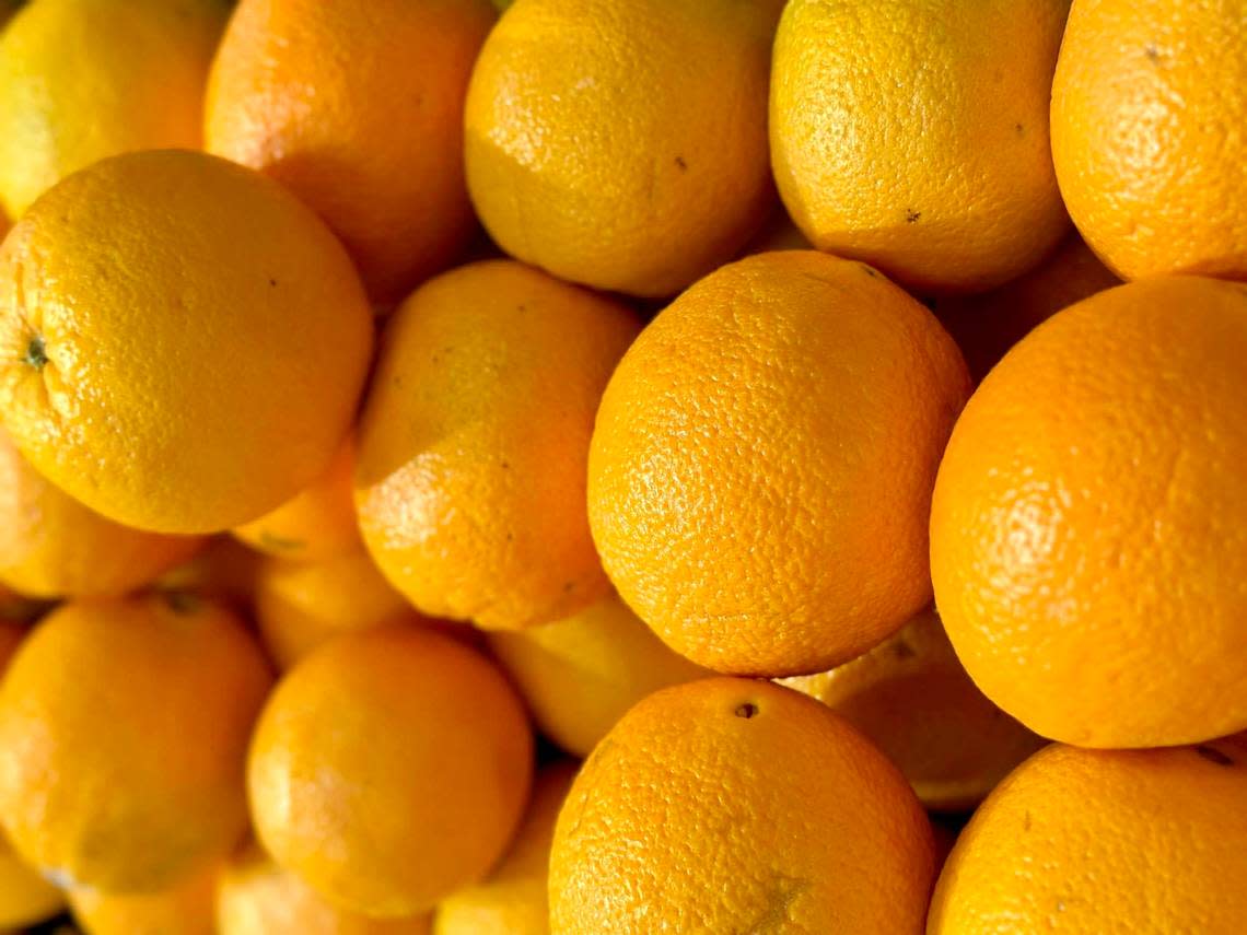 Oranges on display at a Miami-area Publix in 2023.