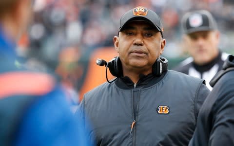 Cincinnati Bengals head coach Marvin Lewis stands on the sideline in the first half of an NFL football game against the Oakland Raiders - Credit: AP