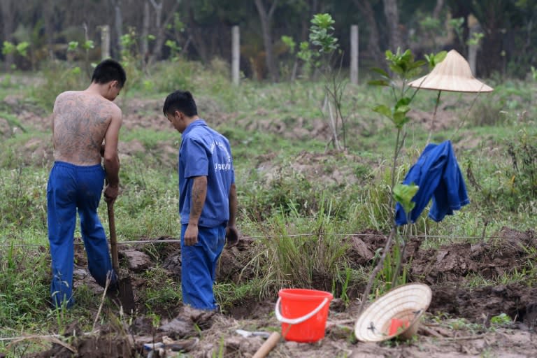 Vietnam sends tens of thousands of drug users to compulsory drug rehabilitation centres -- authorities call it 'work therapy' but critics warn it is forced labour for little pay