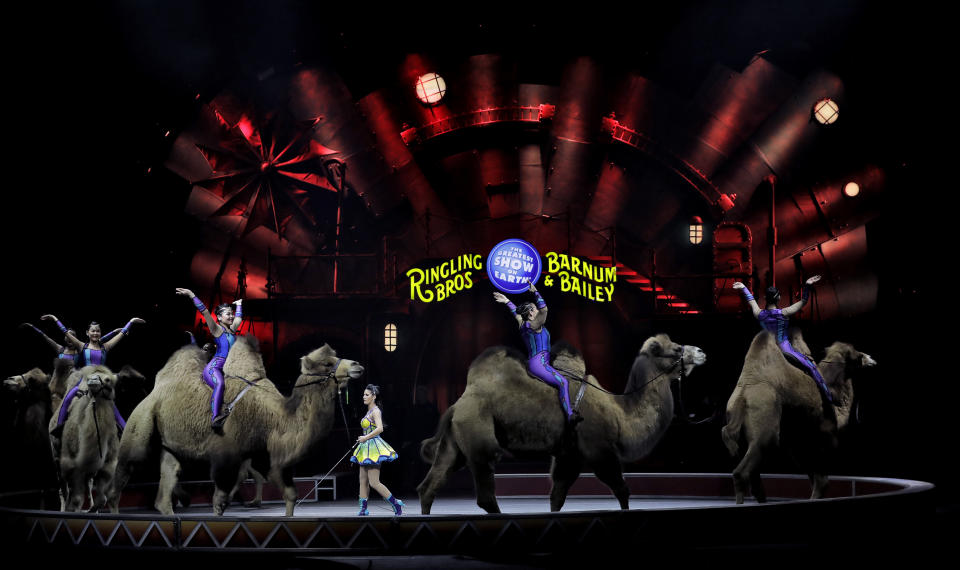 Ringling Bros. and Barnum & Bailey performers ride camels during a performance Saturday, Jan. 14, 2017, in Orlando, Fla. The Ringling Bros. and Barnum & Bailey Circus will end the "The Greatest Show on Earth" in May, following a 146-year run of performances. Kenneth Feld, the chairman and CEO of Feld Entertainment, which owns the circus, told The Associated Press, declining attendance combined with high operating costs are among the reasons for closing. (AP Photo/Chris O'Meara)