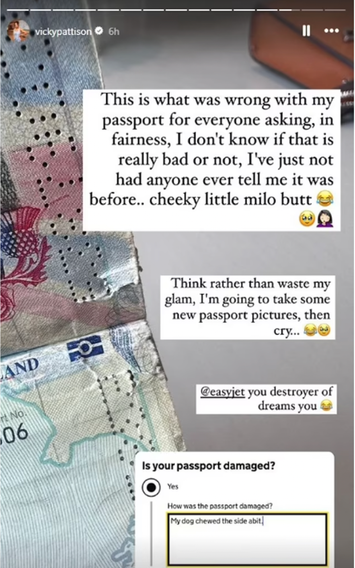 Pattison shared a photo of the damage to her passport on Instagram (Instagram/Vicky Pattison)