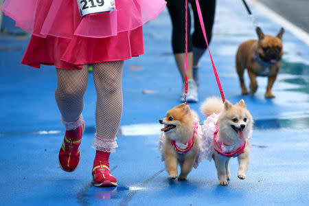 People run with their pets during a mini-marathon for dogs in Bangkok, Thailand May 7, 2017. REUTERS/Jorge Silva