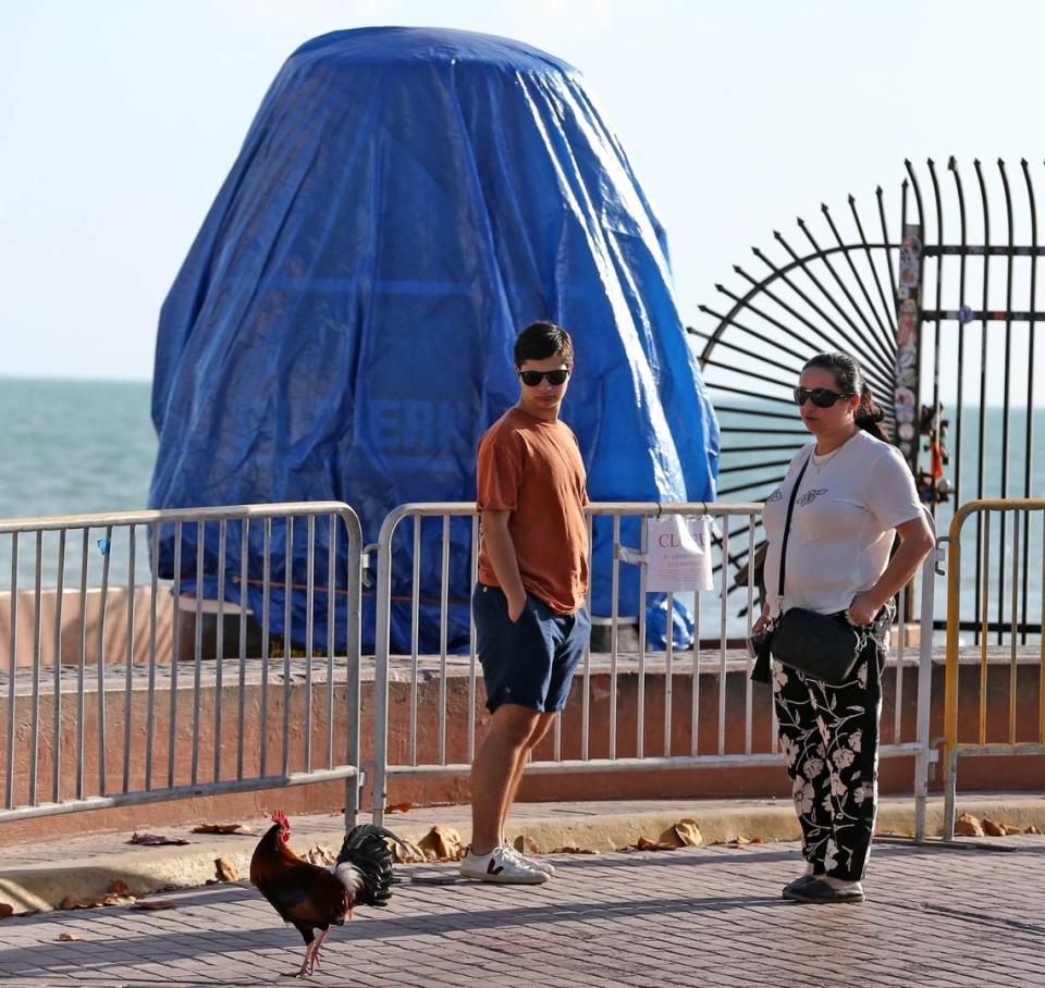 Tourist Daniel Komiss looks at a Key West roster as he stands by the Southernmost Point Monument in Key West, March 20, 2020. The monument was covered to curtail people gathering at the site because of the pandemic.