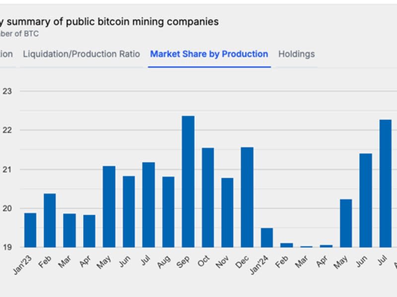 Public mining companies' market share (TheMinerMag)